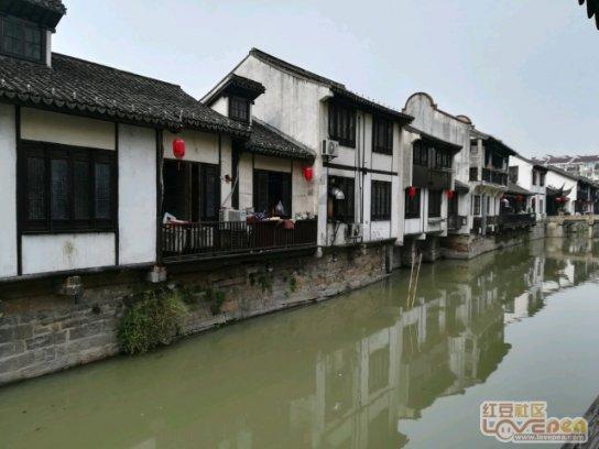 逃离森林边缘